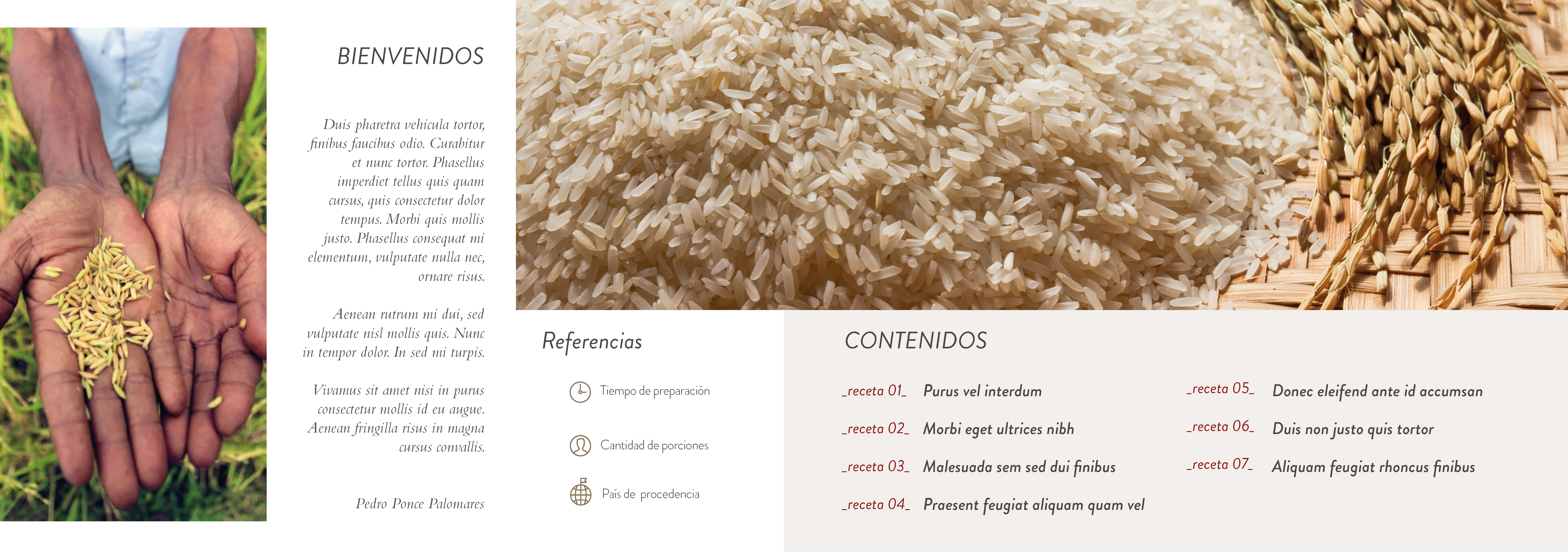 Introducci&oacute;n